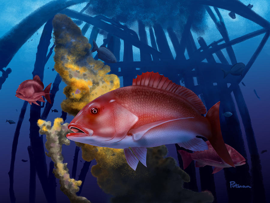 Fish Digital Art - The Rigs by Kevin Putman