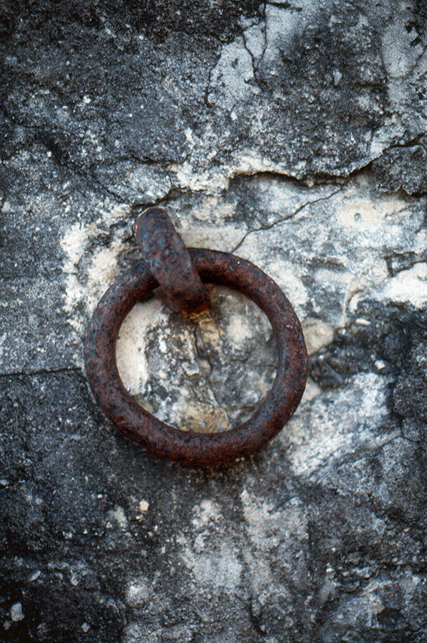 The Ring Photograph by Ben Kotyuk