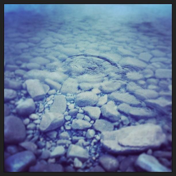Water Photograph - The Ripple Effect. #water #lake #icecold by Pemry Chobaniuk