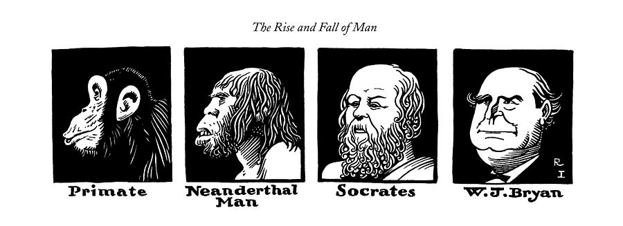 The Rise And Fall Of Man Drawing by Rea Irvin