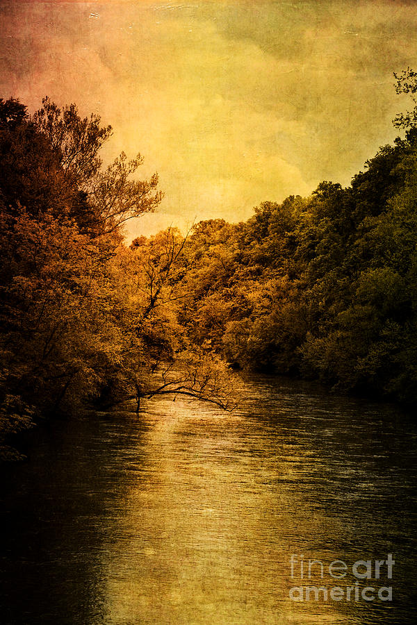 The River Photograph by Stephanie Frey