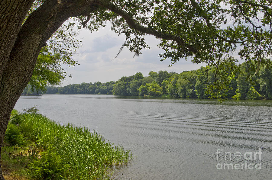 Bainbridge Photograph - The Rivers View by Debra Johnson Bainbridge Photograph - The Rivers View by Debra Johnson