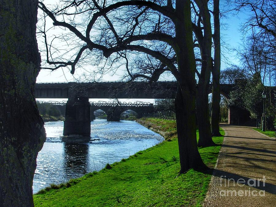 The Riverside at Avenham Park in Winter Photograph by Joan-Violet Stretch