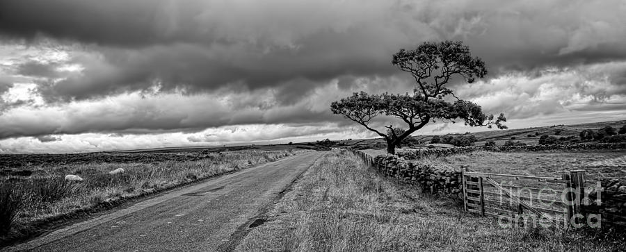 The road ahead - mono panoramic Photograph by Steev Stamford