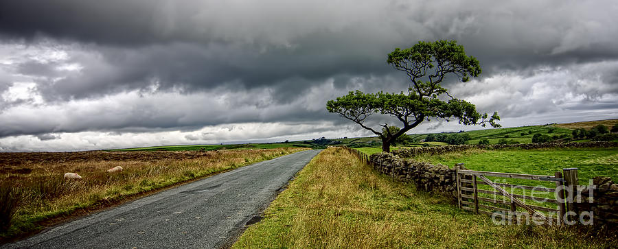 The road ahead - panoramic Photograph by Steev Stamford