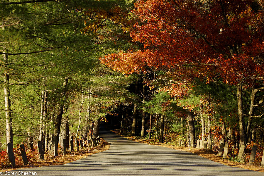 Fall Photograph - The Road by Corey Sheehan