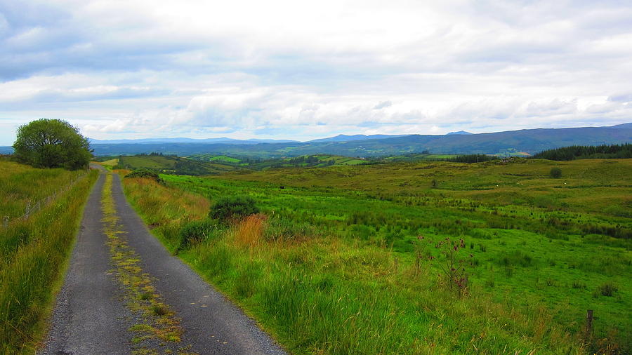 Road Photograph - The Road by David McCadden
