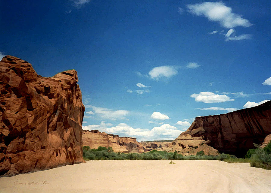 The Road Home. Canyon de Chelly 1993 Photograph by Connie Fox