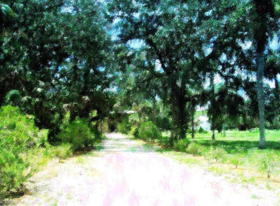 Nature Mixed Media - The Road Home by Florene Welebny