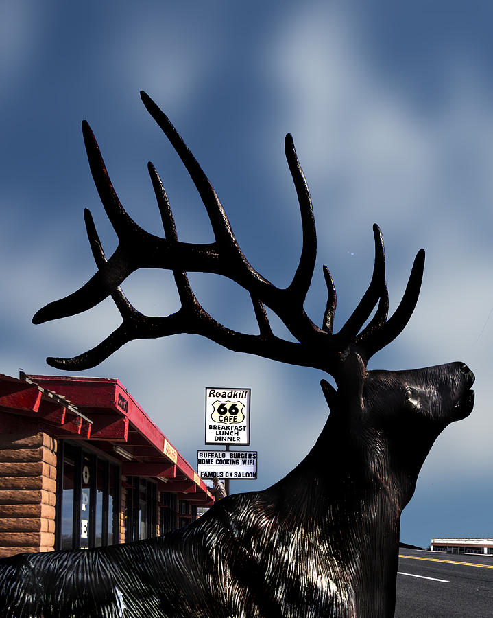 The Road Kill Cafe Photograph by Gary Warnimont