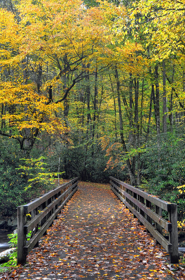 Trail Photograph - The Road Less Traveled by Mary Anne Baker Trail Photograph - The Road Less Traveled by Mary Anne Baker