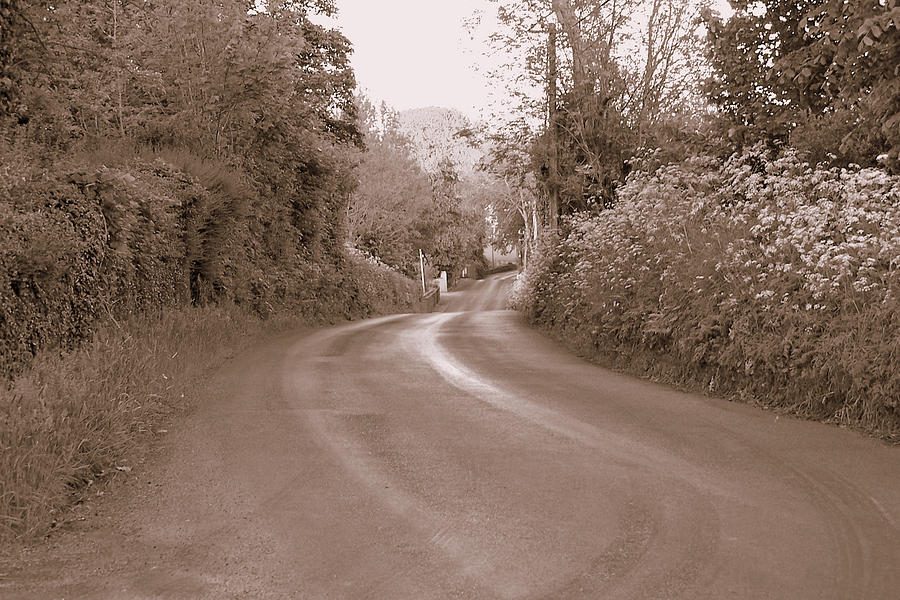 The Road Most Taken Photograph by Lisa Blake