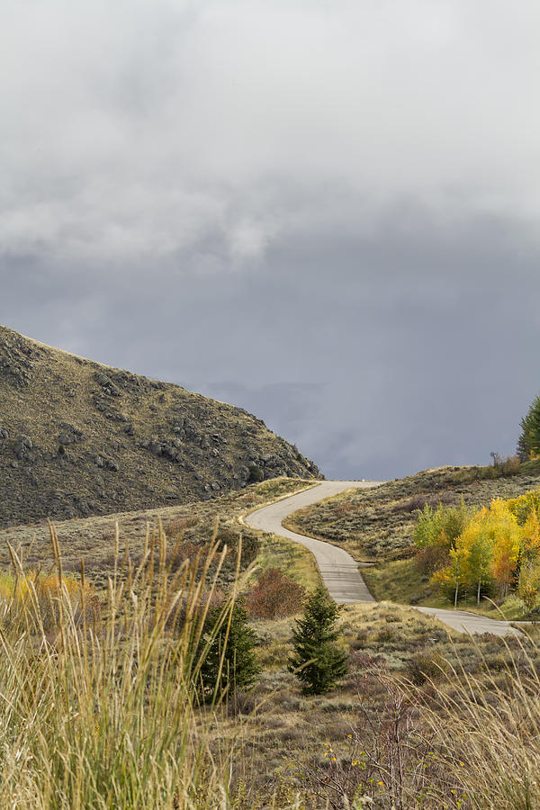 The Road Not Taken Photograph by Belinda Greb