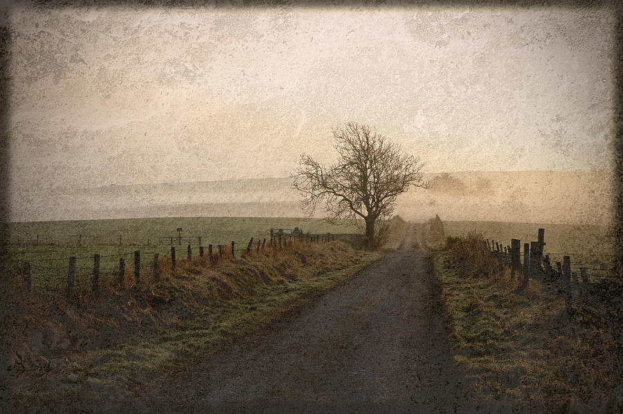 Vintage Photograph - The Road Not Taken by Liz  Alderdice