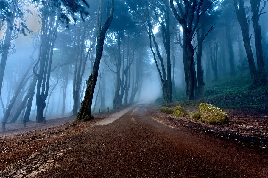 The road of kings Photograph by Jorge Maia