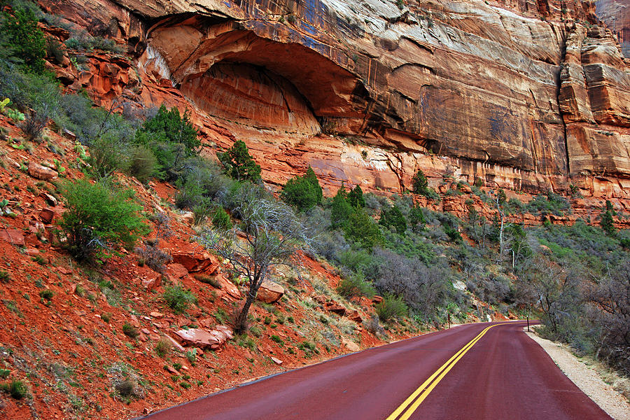The Road Through Zion Canyon Photograph by Daniel Woodrum