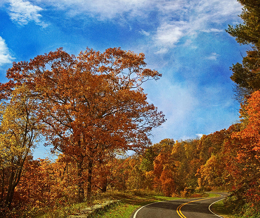 Shenandoah National Park Photograph - The Road to Autumn by Kim Hojnacki