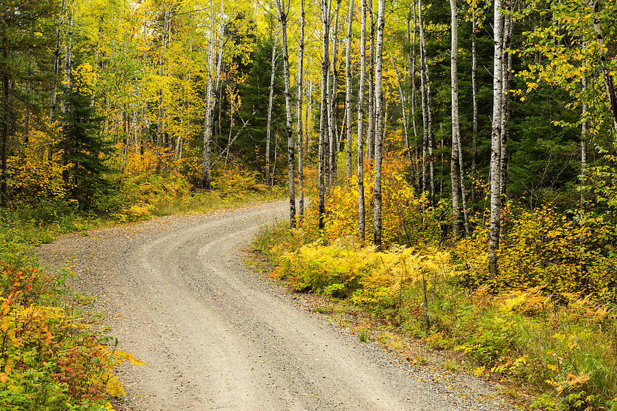 Fall Photograph - The Road to Bob Bay by Adam Pender