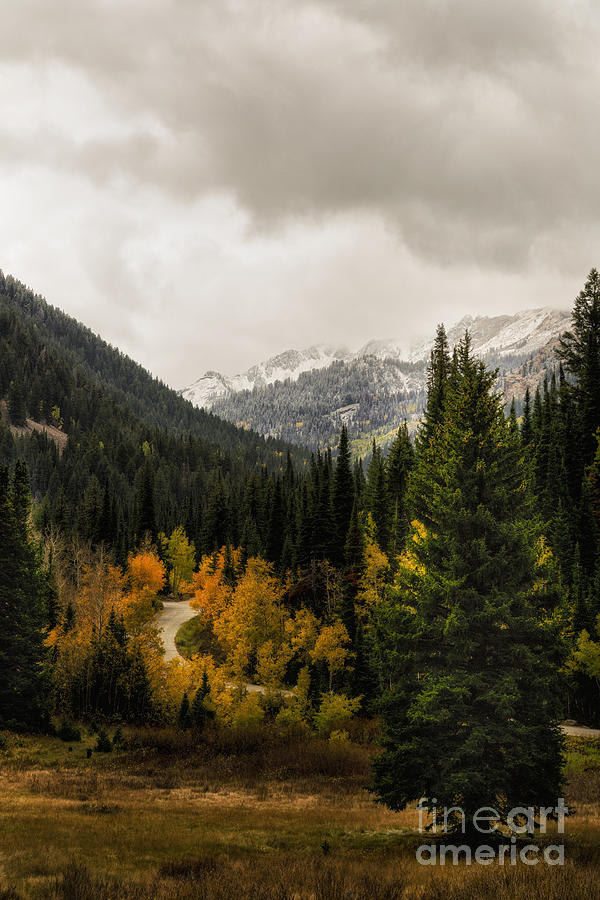 Usa Photograph - The Road To Cardiff by Mitch Johanson Usa Photograph - The Road To Cardiff by Mitch Johanson