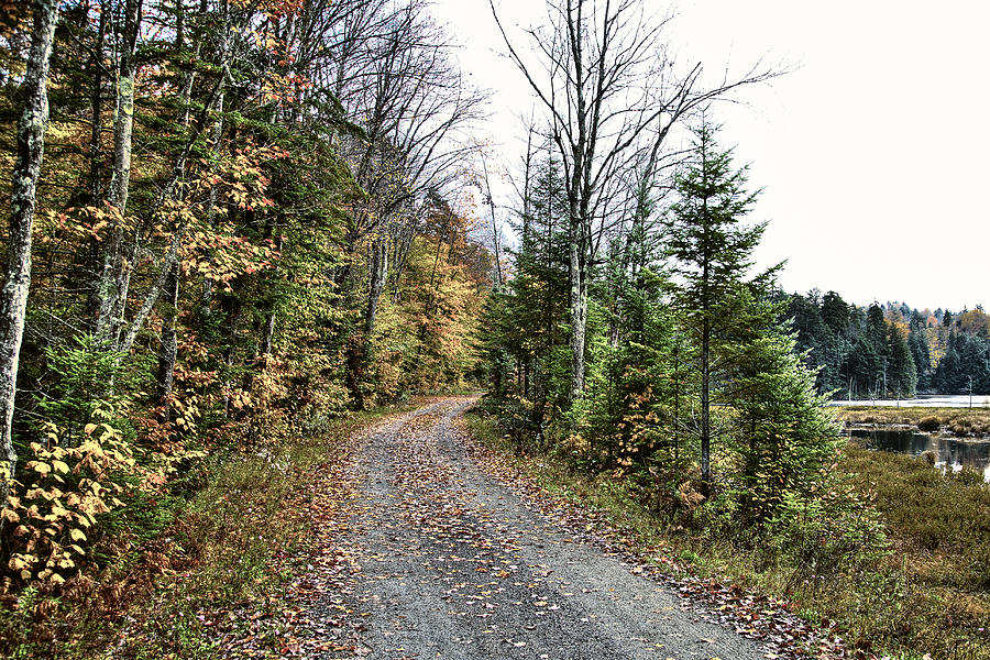 The Road to Cary Lake Photograph by David Patterson