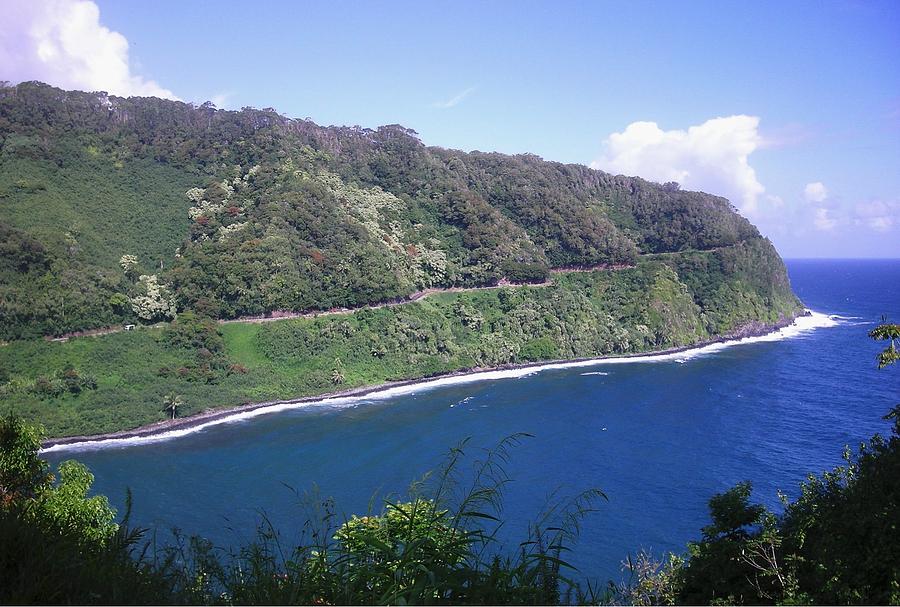 Landscape Photograph - The Road to Hana by Marian Jenkins