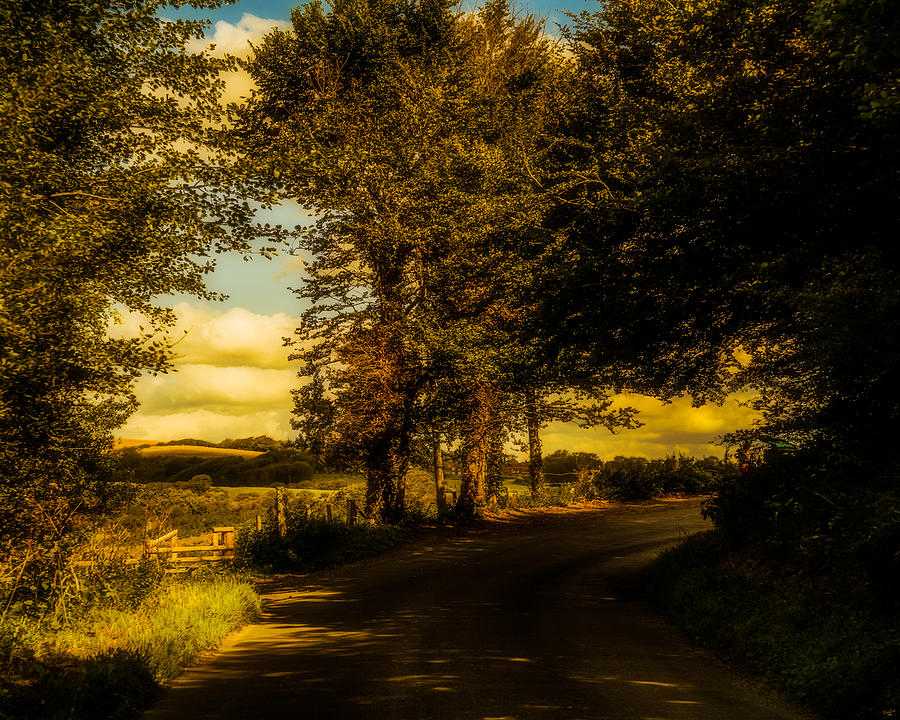 Tree Photograph - The Road To Litlington by Chris Lord