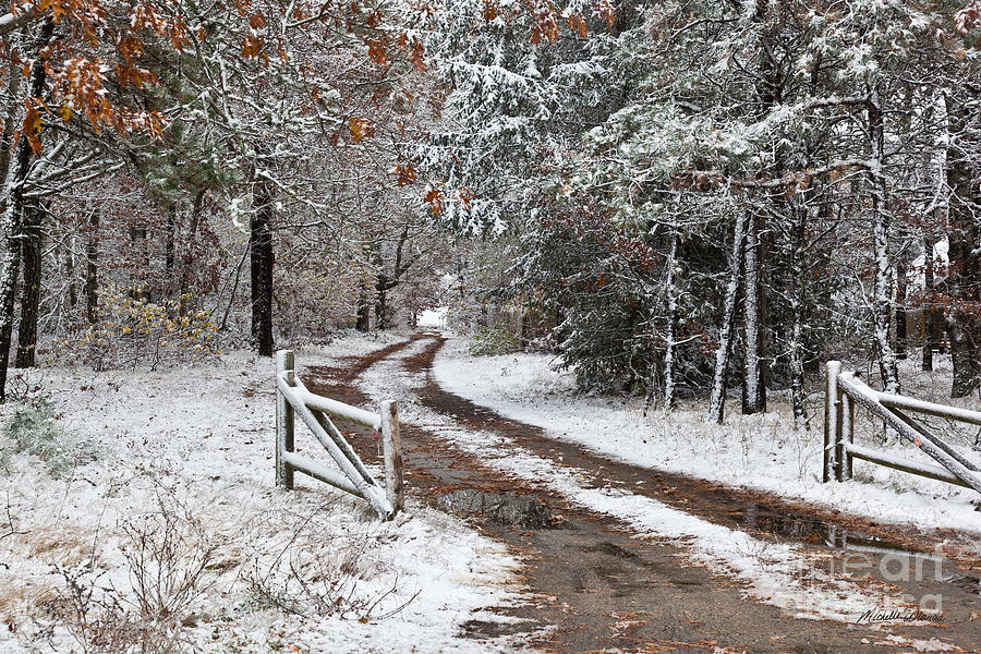 Winter Photograph - The Road to the River by Michelle Constantine