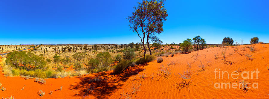The Road to Uluru Photograph by Bill  Robinson