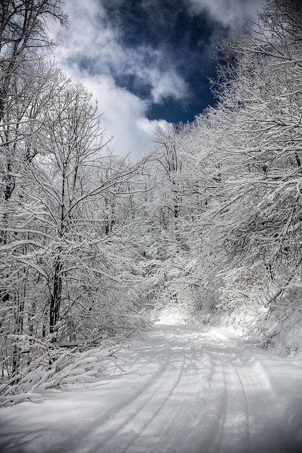 The Road to Winter Wonderland Photograph by John Haldane