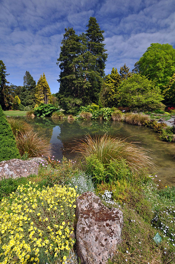 The Rock Garden Photograph by North Devon Photography - Fine Art America