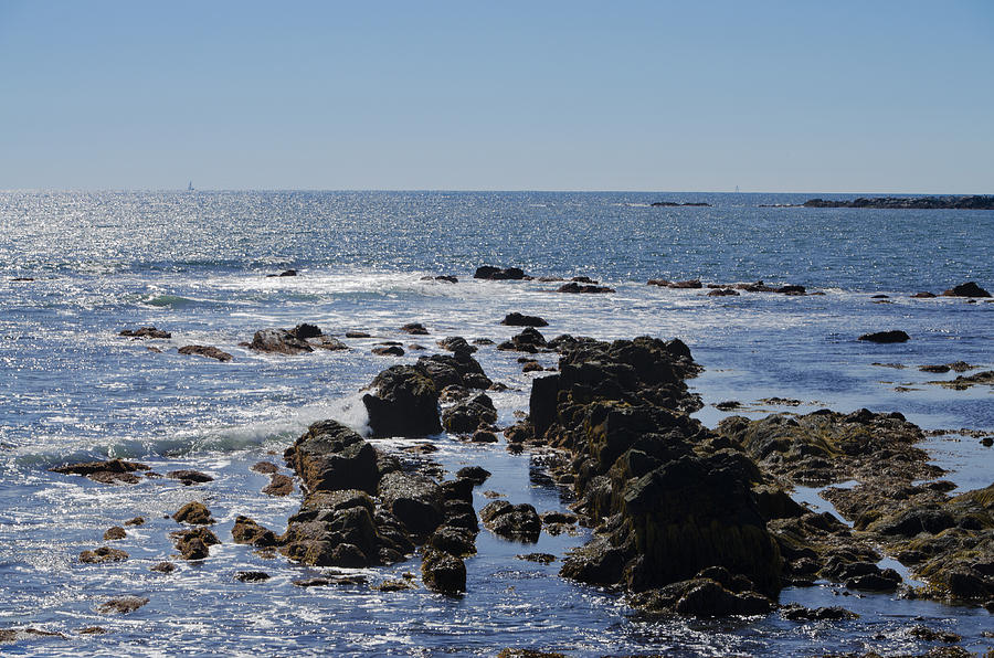 The Rocky Coast of New Port Rhode Island Photograph by Bill Cannon