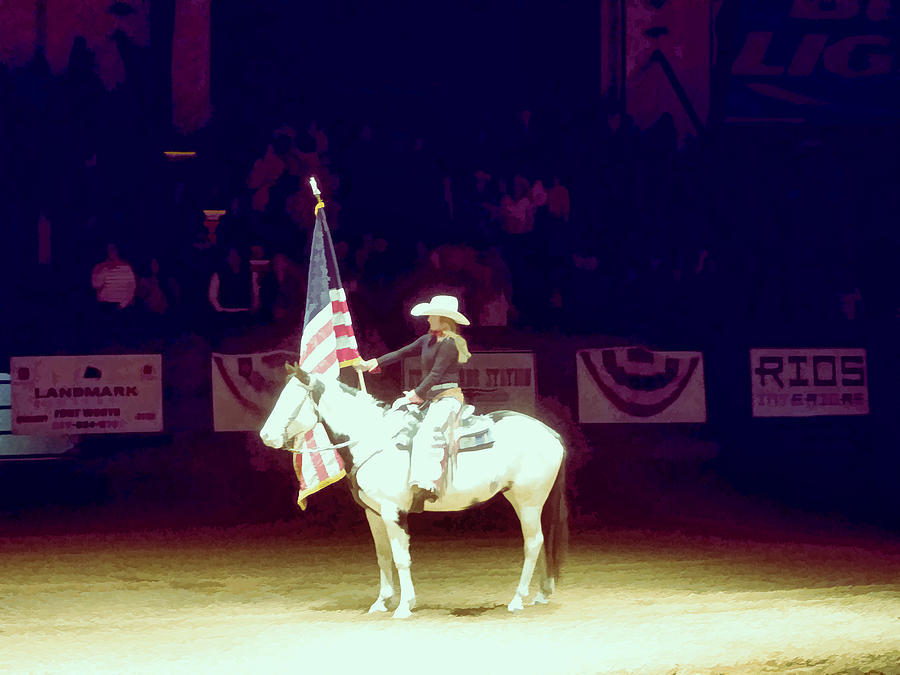Horse Photograph - The Rodeo  by Douglas Barnard