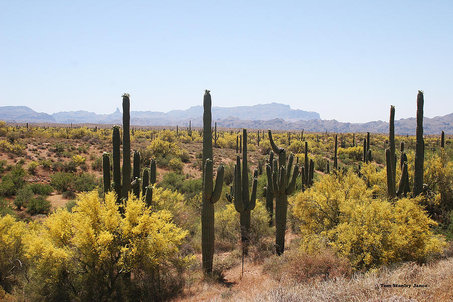 The Rolls Tonto National Forest Photograph by Tom Janca