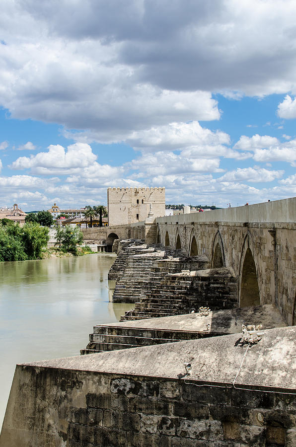 The Roman Bridge of Cordoba  Photograph by AM FineArtPrints