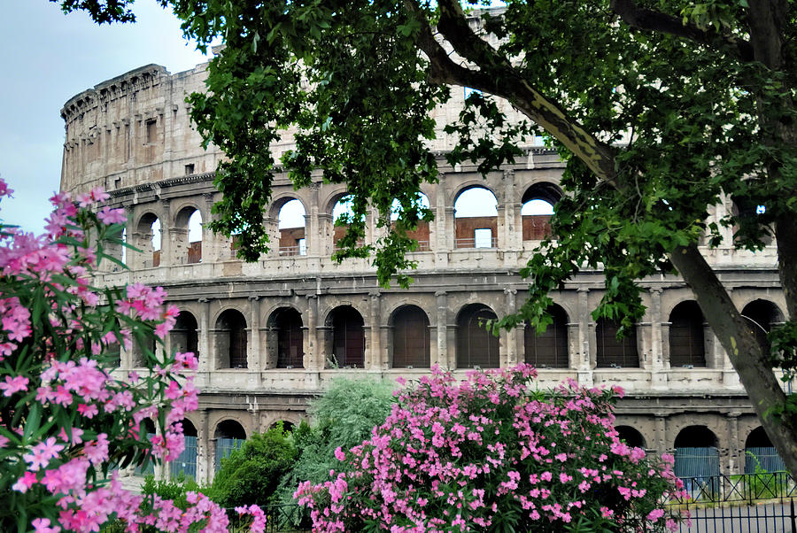 The Roman Colosseum Photograph by Alan Toepfer