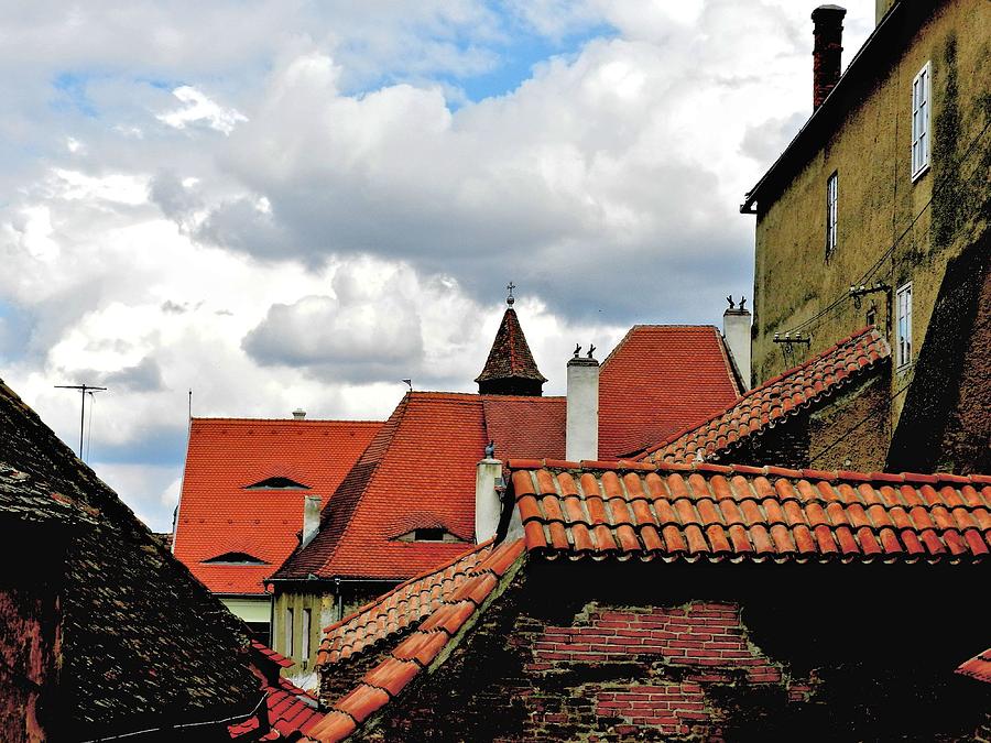 Architecture Painting - The Roofs of Sibiu in Transylvania by ITI Ion Vincent Danu