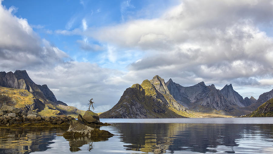 The Roots Back Home Photograph by Tommy Johansen. Freelance Photographer In Lofoten Norway.