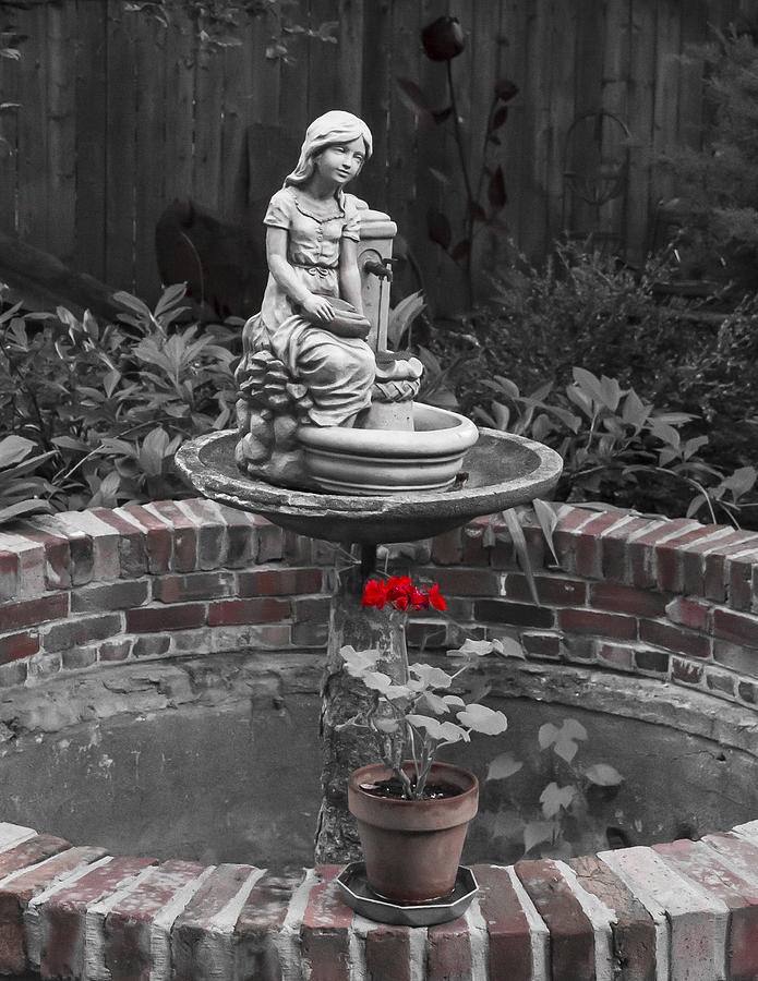 Fountain Digital Art - The Rose and Geranium by Gary Rieks