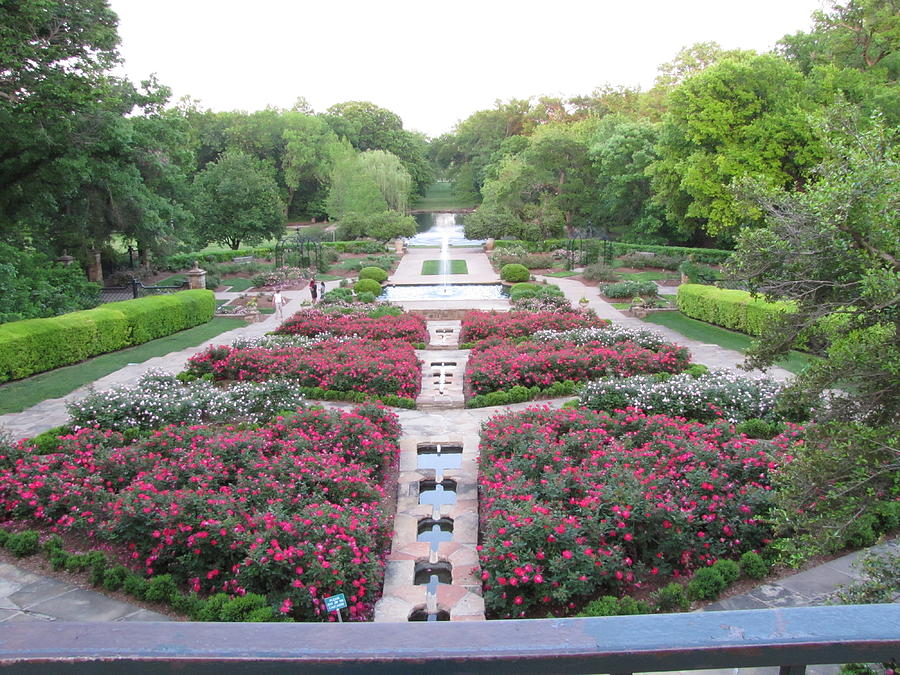 The Rose Garden Photograph by Shawn Hughes - Fine Art America