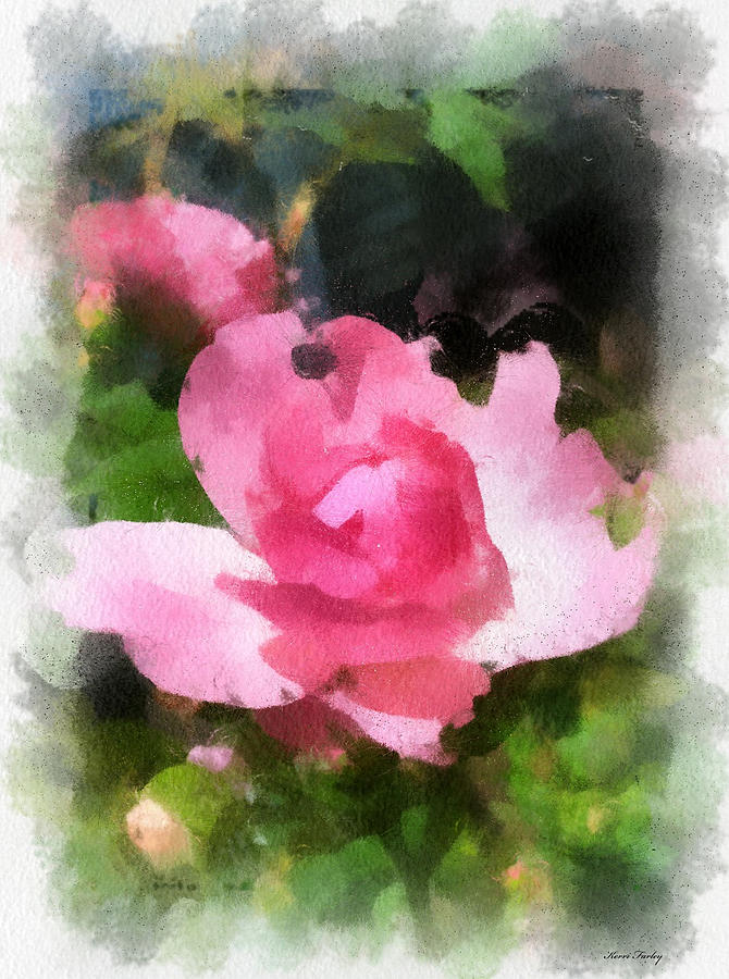 The Rose Photograph by Kerri Farley