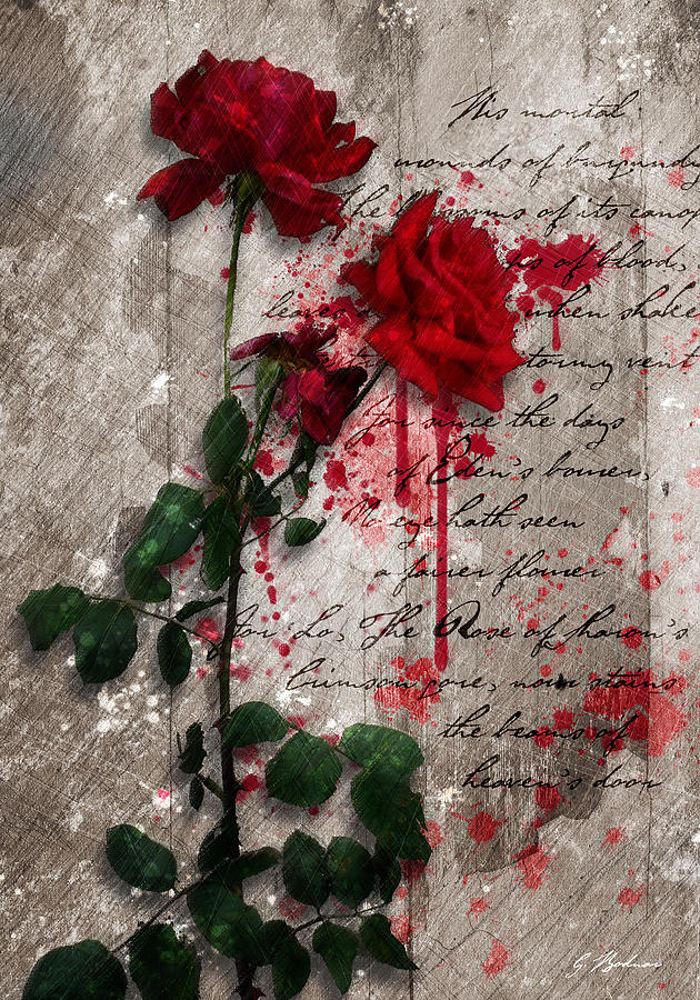 The Rose Of Sharon Digital Art by Gary Bodnar