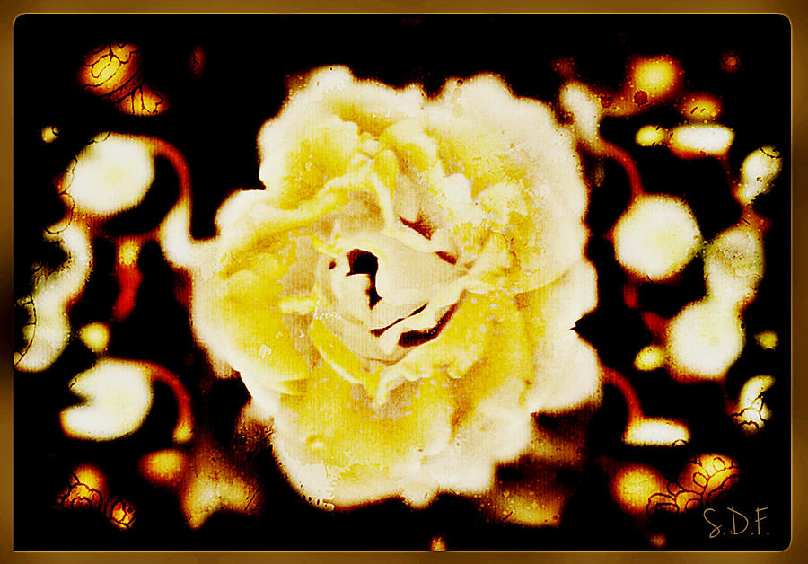 The Rose by Sherry Flaker The Rose by Sherry Flaker