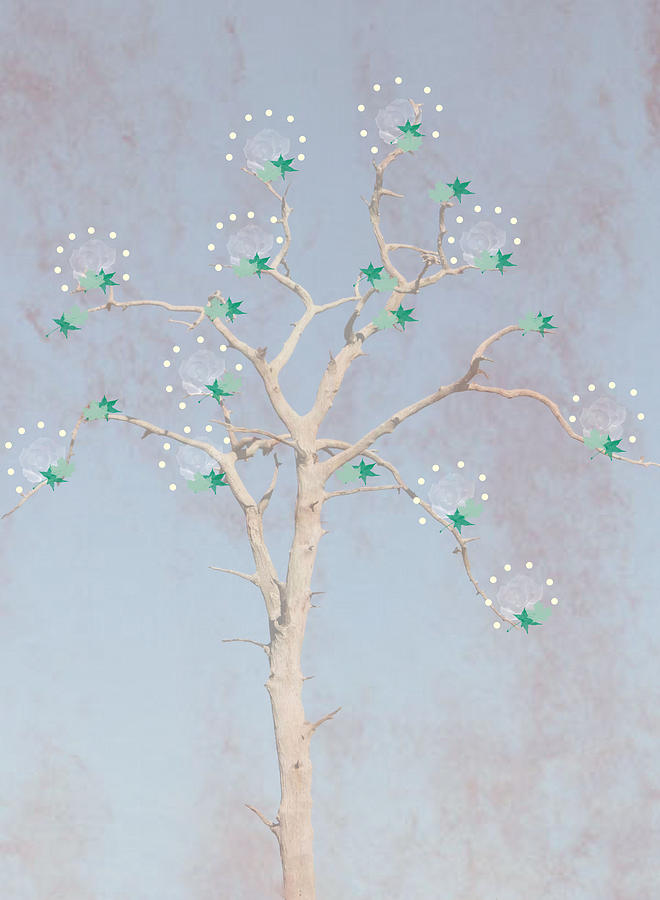 The Rose Tree Digital Art by Rosalie Scanlon