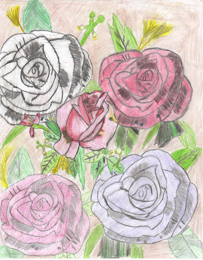 The Roses Drawing