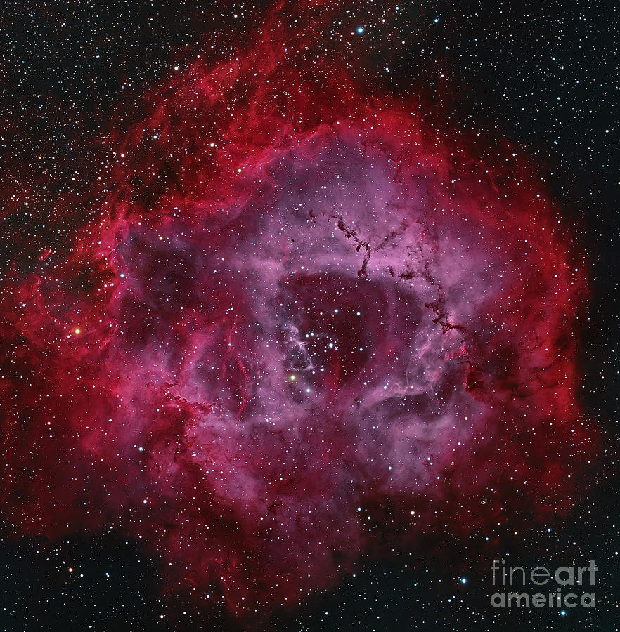 The Rosette Nebula Photograph