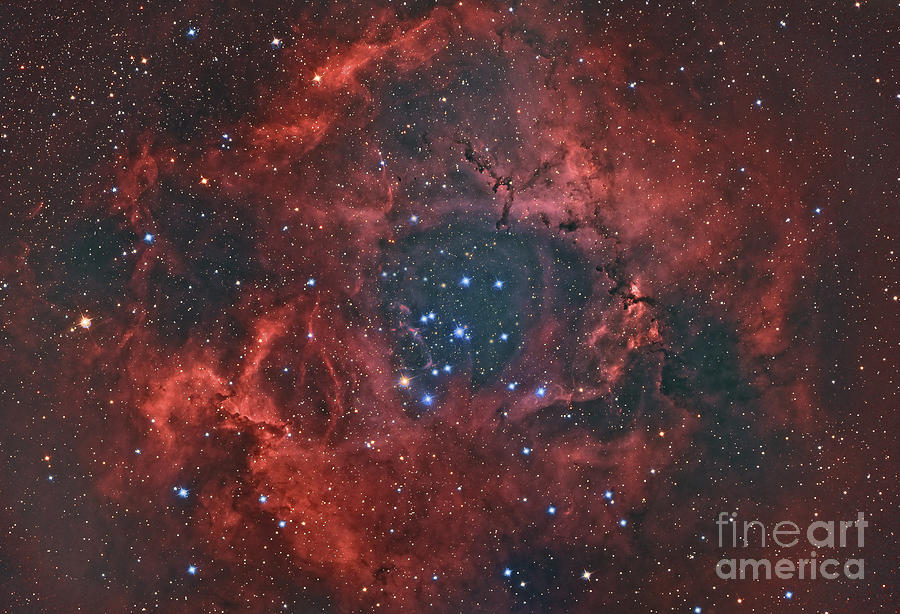 Space Photograph - The Rosette Nebula by Reinhold Wittich