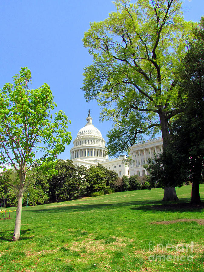 The Rotunda Photograph by Elizabeth Dow - Fine Art America