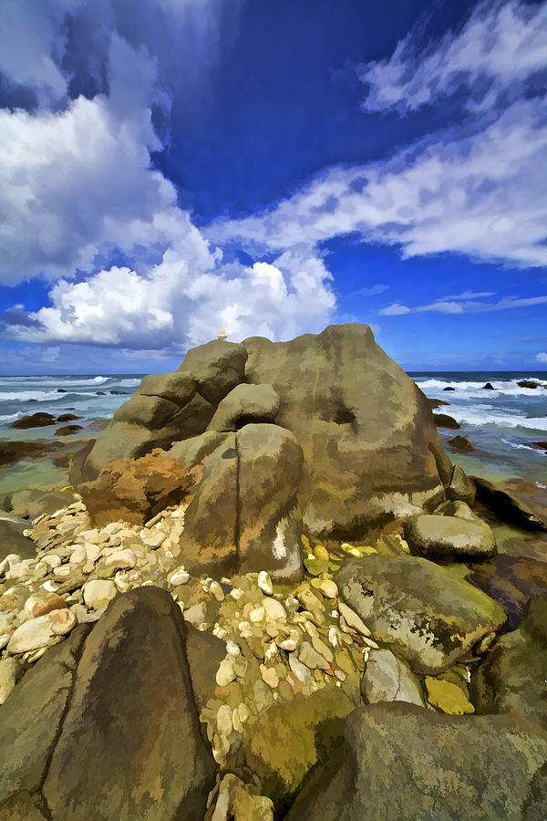 The Rough Side of Aruba VI Photograph by David Letts