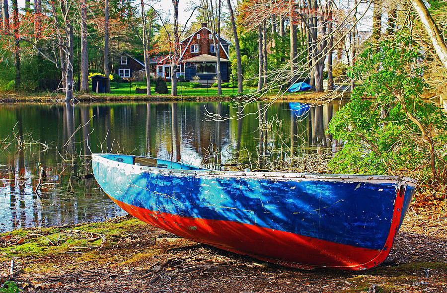 Nature Photograph - The row boat by Mikki Cucuzzo