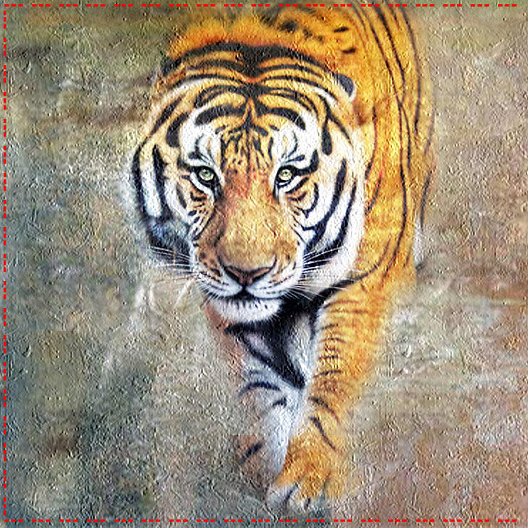 キャンバス印刷ウォールアート – A Royal Bengal Tiger in the Wild 